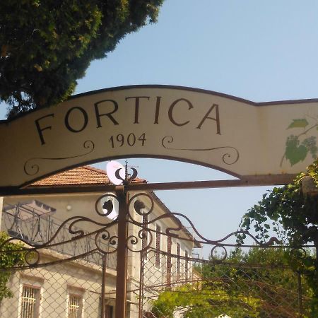 אופטיה Apartments Aurora מראה חיצוני תמונה